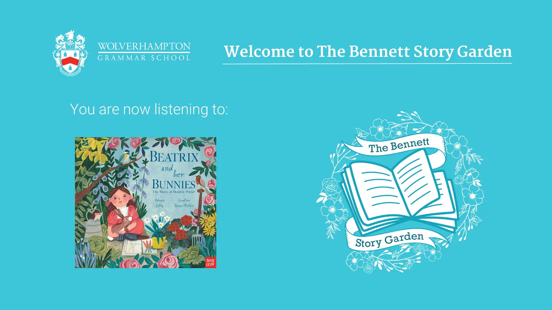  OptimizedImage,Optimized