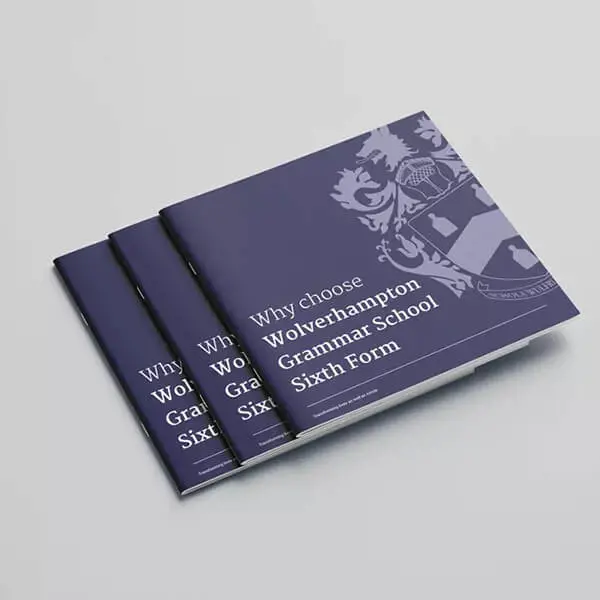 OptimizedImage,Optimized