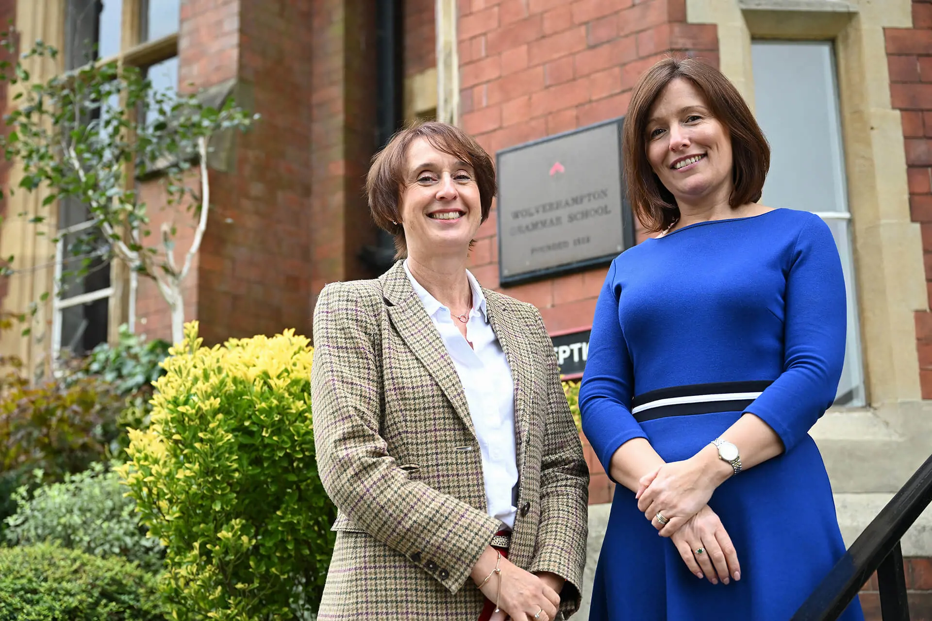 OptimizedImage,Optimized