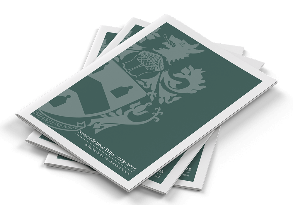 OptimizedImage,Optimized