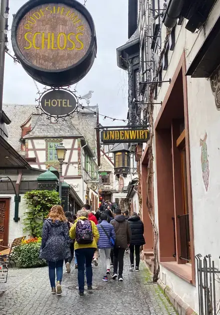 Rhine Valley Trip